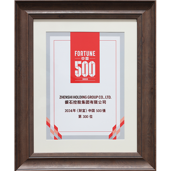 《財富》中國500強第300位